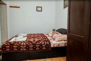Хостелы Casa pe Valea Hartibaciului(Bărcuț) Bărcuţ Двухместный номер с 1 кроватью и собственной ванной комнатой-4